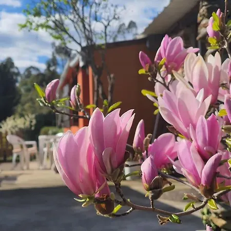 Casa Do Monte Mondim *