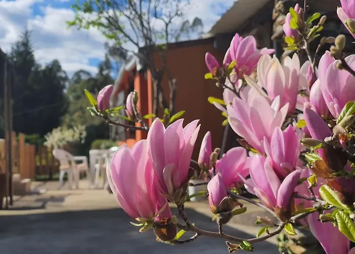 Casa Do Monte Mondim *